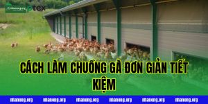 CÁCH LÀM CHUỒNG GÀ ĐƠN GIẢN TIẾT KIỆM