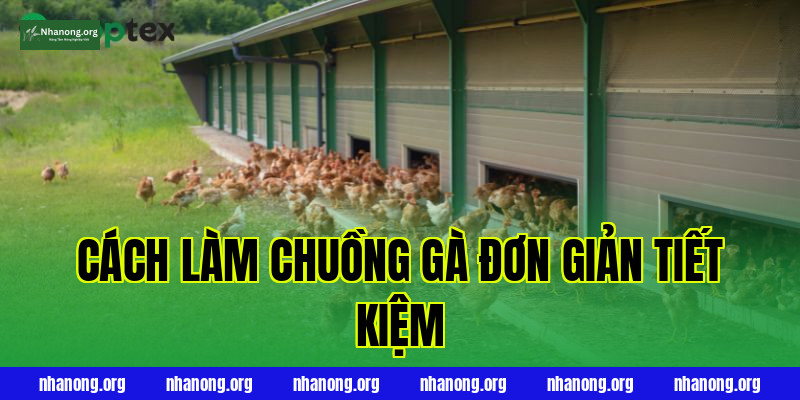 CÁCH LÀM CHUỒNG GÀ ĐƠN GIẢN TIẾT KIỆM