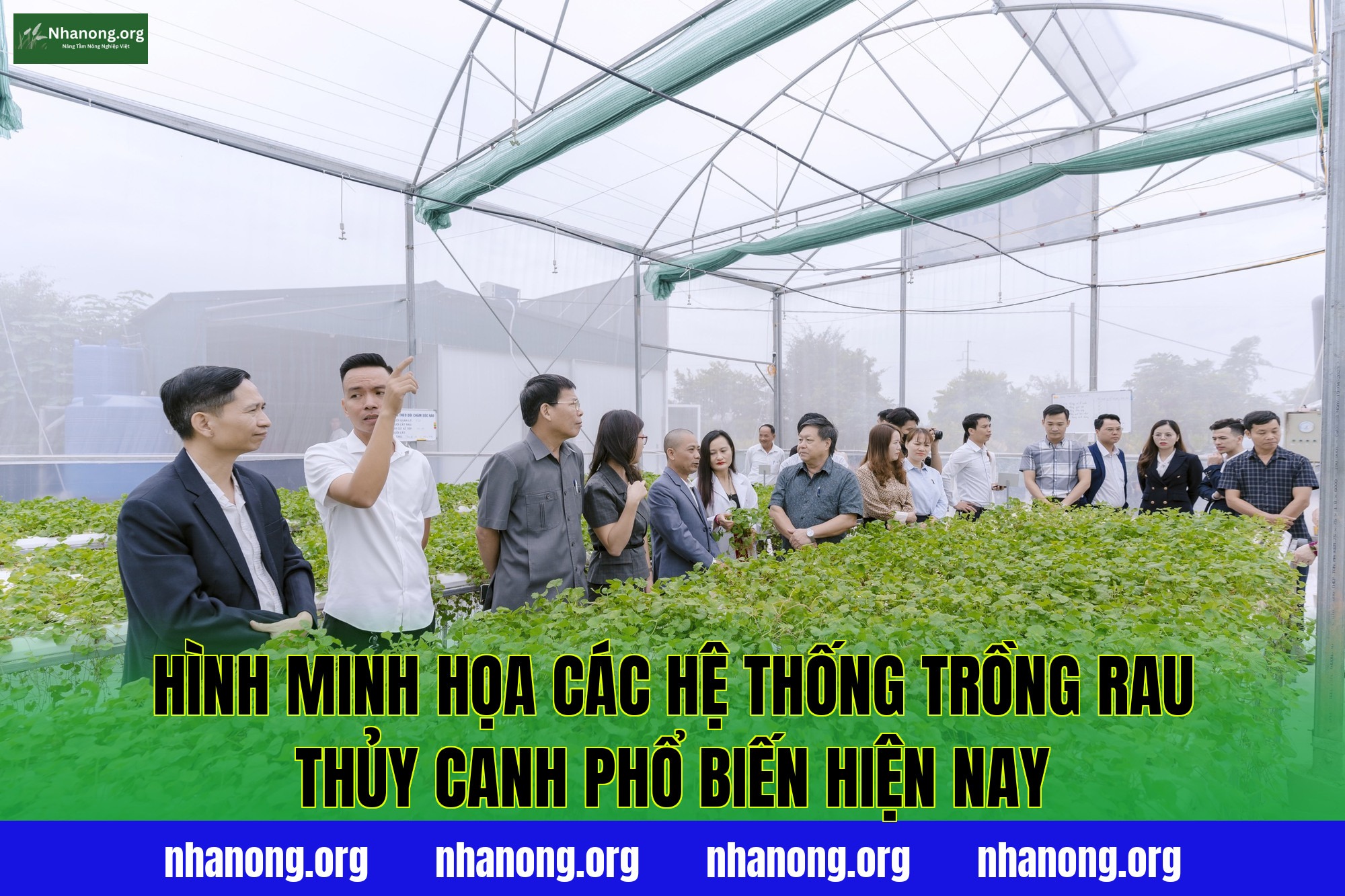 Hình minh họa các hệ thống trồng rau thủy canh phổ biến hiện nay