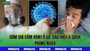 Bệnh Cúm Gia Cầm (H5N1) Ở Gà: Dấu Hiệu, Nguyên Nhân Và Cách Phòng Ngừa